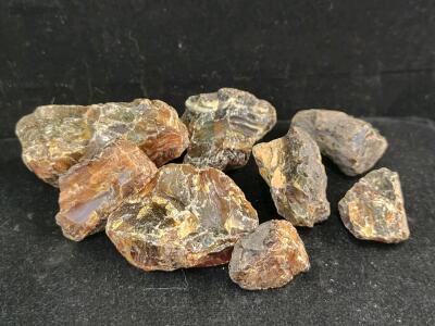 365ct Natural Rough Amber Gemstones (7pc)