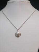 Sterling Silver Sand Dollar Pendant Necklace with Rope Chain