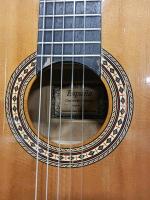 Espa&ntilde;a Guitarras Cl&aacute;sicas Modelo 5 Classical Acoustic Guitar, Spruce Top, Gloss Finish - 4