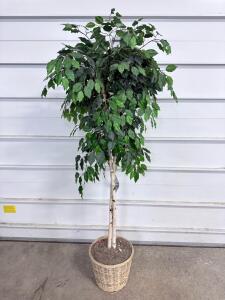 6-Foot Artificial Ficus Tree with Wicker Basket Planter, Realistic Silk Leaves, 2 Natural Wood Trunks