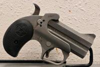 Bond Arms Rough N Rowdy Derringer, .45 Colt/.410, 2.5" Barrel, SN 371019, Stainless Steel