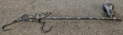 Antique 36" Steelyard Scale, 35 lb Capacity, Dual Iron Hooks, Black Counterweight, Early 1900s