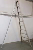 10 Foot Tallman Aluminum Tripod Orchard Ladder, 250 lb Capacity, 18 lbs, 42" Base Width - 3