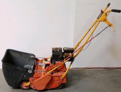 Briggs & Stratton 2 HP Walk-Behind Reel Lawn Mower with Grass Catcher