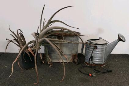 Vintage Electric Galvanized Watering Can (Water Pump), Galvanized Bucket On Wheels, Potted Aloe Plants