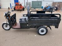 Ranch IRET13 Electric Tricycle, 2026, 60V 1000W, 2 Seats, Cargo Bed, S/N Kr20260101amam0128