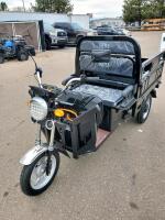Ranch IRET13 Electric Tricycle, 2026, 60V 1000W, 2 Seats, Cargo Bed, S/N Kr20260101amam0128 - 2