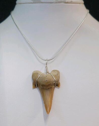 SandTiger Shark Tooth Fossil Necklace