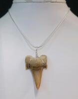 SandTiger Shark Tooth Fossil Necklace
