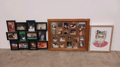 (3) Cat Frame Wall Art sp-5