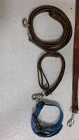Dog Accessories Bundle: Storage Containers, Feeder Stand, Leashes, Collar - 2