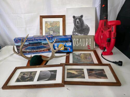 Sun Joe Electric Leaf Blower, Boise State Stadium Puzzle, Mounted Deer Antlers, Art, Oil Pump Lot