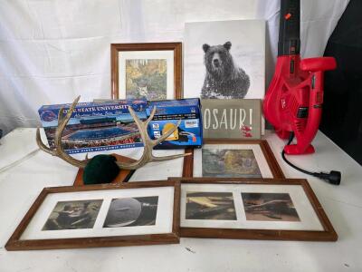 Sun Joe Electric Leaf Blower, Boise State Stadium Puzzle, Mounted Deer Antlers, Art, Oil Pump Lot