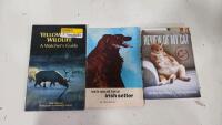 Mixed Lot of 27 Books: Reference, Biography, Medical Dictionary, Manuals, Fiction, Nature Guides - 6