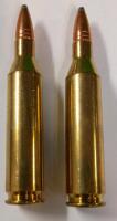Hornady 7MM-08 Rem 139Gr SST & Federal .243 Win 100Gr SP&mdash;Approx 40 & 20 Rounds In MTM Cases - 9