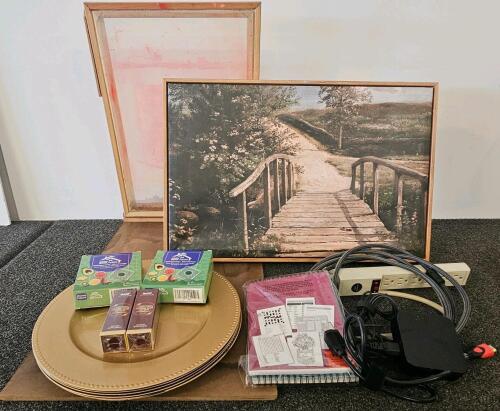 Miscellaneous Household Lot: Wall Art, Electronics, Deodorizers, Supplements, Charger Plates, Puzzle Book