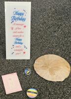 (XA) Large Lot: Figurines, Medline Nitrile Gloves M, HP Ink Cartridge, Spice Tins, Novelty Pins, More - 14