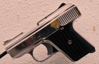 Raven Arms MP-25 .25 ACP Nickel-Plated Semi-Auto Pistol, Serial 1827509 - 4