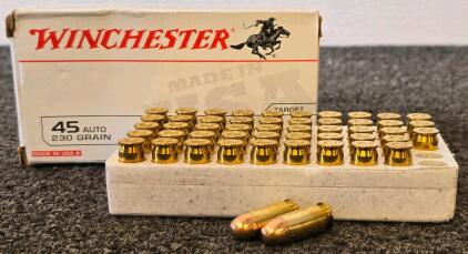 Winchester .45 ACP 230gr FMJ, 50 Rounds, Brass Case, Target Ammo, Made in USA