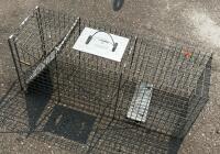 32" x 10" x 12" Galvanized Steel Live Animal Cage Trap with Single Entry and Carry Handle - 4