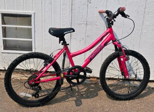 BCA SC Fast 20-Inch Kids Mountain Bike, 6-Speed, Front Suspension, Pink, Steel Frame