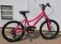 BCA SC Fast 20-Inch Kids Mountain Bike, 6-Speed, Front Suspension, Pink, Steel Frame