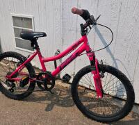 BCA SC Fast 20-Inch Kids Mountain Bike, 6-Speed, Front Suspension, Pink, Steel Frame - 3