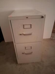 2-Drawer Vertical Metal Filing Cabinet with Lock, Light Gray Steel