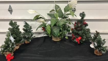 Set Of 5 Mini Artificial Christmas Trees, 1 Artificial Peace Lily, Burlap & Basket Pots