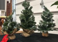 Set Of 5 Mini Artificial Christmas Trees, 1 Artificial Peace Lily, Burlap & Basket Pots - 4