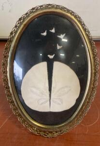 Decorative Sand Dollar & Miniature Bird Shadowbox Art, Oval Brass Frame