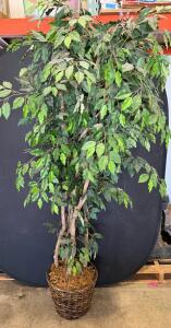 72" Artificial Ficus Tree in Wicker Basket with Moss Base