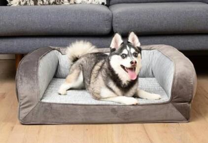 Paw.com Orthopedic Cooling Memory Foam Dog Bed with Bolster, 29&rdquo; x 24&rdquo;, Medium, Gray