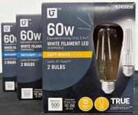 ST19 LED Light Bulbs, 60W Equivalent, 5.5W, 500 Lumens, Daylight & Soft White, 2-Pack, Dimmable - 2