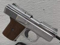 Raven Arms MP-25 Chrome .25 ACP Semiautomatic Pistol, 2.5" Barrel, Wood Grips, SN 1037157 - 5