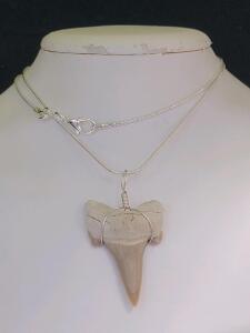 Sand Tigershark Tooth Fossil Necklace