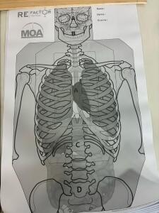 RE Factor Tactical MOA Anatomical Human Silhouette Shooting Targets, approx 50