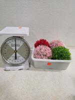 Air Wick Warmers & Refills, Combat Roach Gel, Decor, Scale, Fountain - 6