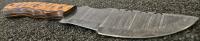 Custom Fixed-Blade Knife With Patterned Steel Blade And Decorative Handle - 2