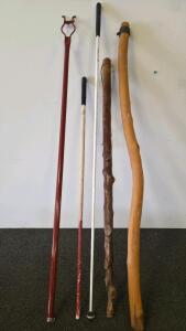 Assorted Walking Sticks, USN Navy Cane, Red Grabber Tool, White Mobility Cane (FL-13)