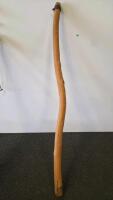 Assorted Walking Sticks, USN Navy Cane, Red Grabber Tool, White Mobility Cane (FL-13) - 2