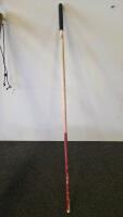 Assorted Walking Sticks, USN Navy Cane, Red Grabber Tool, White Mobility Cane (FL-13) - 4