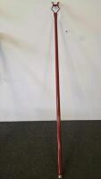 Assorted Walking Sticks, USN Navy Cane, Red Grabber Tool, White Mobility Cane (FL-13) - 6