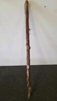 Assorted Walking Sticks, USN Navy Cane, Red Grabber Tool, White Mobility Cane (FL-13) - 7