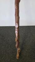 Assorted Walking Sticks, USN Navy Cane, Red Grabber Tool, White Mobility Cane (FL-13) - 8