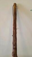 Assorted Walking Sticks, USN Navy Cane, Red Grabber Tool, White Mobility Cane (FL-13) - 9
