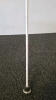 Assorted Walking Sticks, USN Navy Cane, Red Grabber Tool, White Mobility Cane (FL-13) - 11