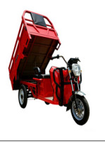 IRET13 Electric Tricycle (Black)