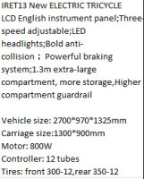 IRET13 Electric Tricycle (Black) - 2