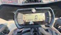 2023 CAN-AM RYKER - 10